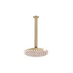 Bloom Shower Rose & Arm Brushed Brass