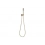 Bloom Hand Shower on Hook Brushed Nickel