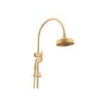 Eternal Gooseneck Twin Shower Set Brushed Brass