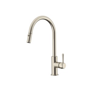 Eternal Pull Out Kitchen Mixer Brushed Nickel