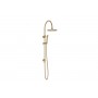 Soul Gooseneck Shower Set Brushed Brass