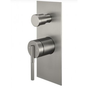 Caddence Series Brushed Nickel Wall Mixer with Diverter