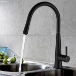 Hustle Deluxe Gooseneck Pull-Out Kitchen Mixer, Matte Black